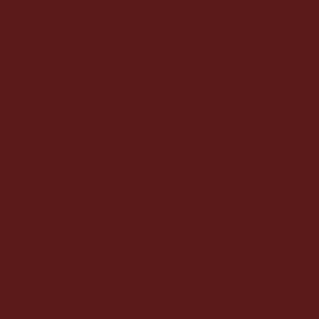 LSS CLASSIC BOX Mens Pigment Short Sleeve Tee